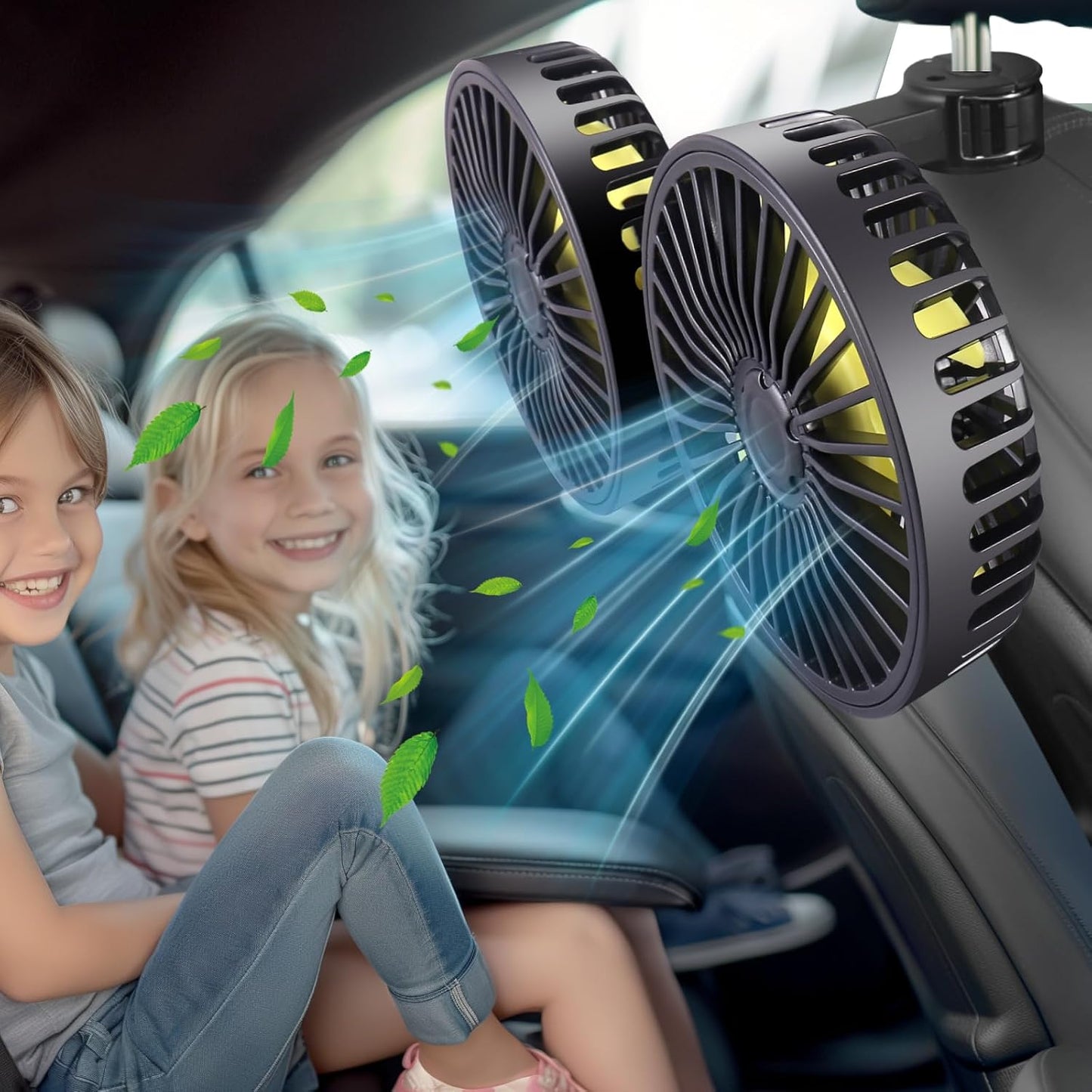 Car Backseat