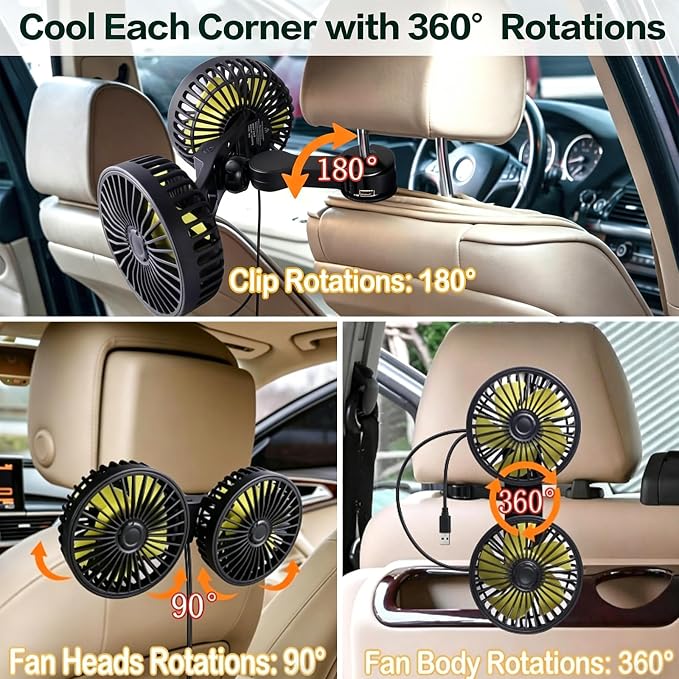 Car Backseat