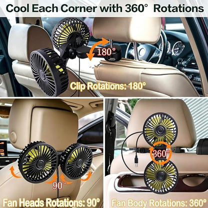 Car Backseat