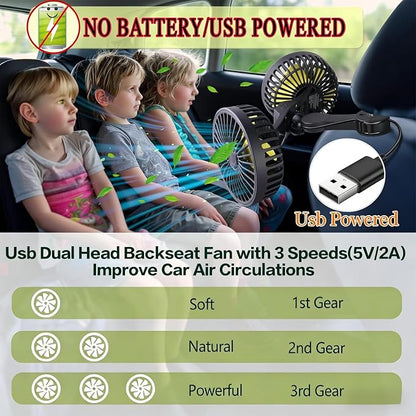 Car Backseat